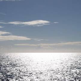 Sparkling Ocean by Michelle Miron-Rebbe