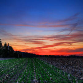 Spring Field by Evelina Kremsdorf