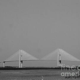 St Simon Bridge black and white - Sidney Lanier Bridge by Charlene Cox