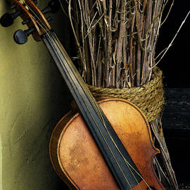 STICKS AND STRINGS by Joe Pratt