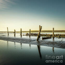 Still Standing by Hannes Cmarits