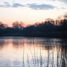 Stunning colorful Winter sunrise over reeds on lake in Cotswolds by Matthew Gibson
