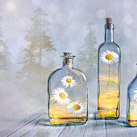 Summer in a bottle by Veikko Suikkanen