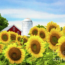 Sunflowers and Barn by Regina Geoghan