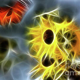 Sunflowers-Butterfly-5233-Fractal by Gary Gingrich Galleries
