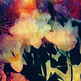 Sunny Floral Abstract by Femina Photo Art By Maggie