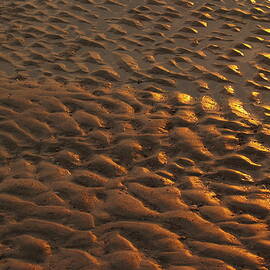 Sunrise Sand Patterns at Hunting Island