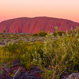 Sunset at Ayers Rock by Venetia Featherstone-Witty