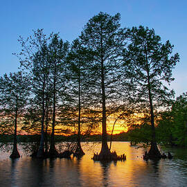 Sunset at Stumpy Lake by Amy Jackson