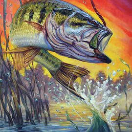 Sunset bass by Tom Dauria