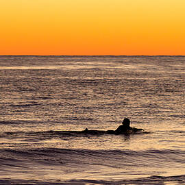 Sunset Surfer by Shawn Jeffries
