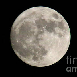 Super Moon 11-13-16 5775 by Gary Gingrich Galleries