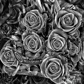 Supermarket Roses by Walt Foegelle