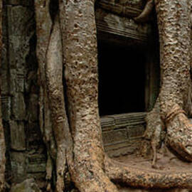 Ta Prohm Silence and I by Bob Christopher