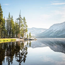 Tenaya Lake Morning - color by Alexander Kunz