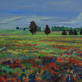 Texas Wildflowers Bluebonnets Indian Paint Brush by Maris Salmins