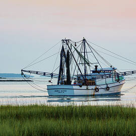 That's Where the Shrimp Are My Boy by Walt  Baker
