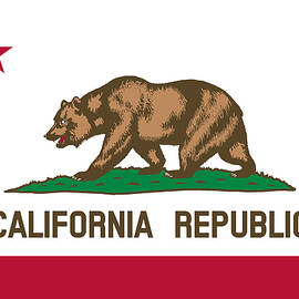 The Bear Flag - State of California by War Is Hell Store