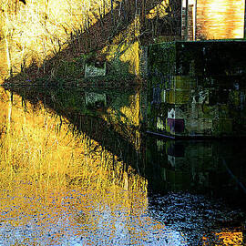 The bridge on the river and its shadow. by Alexander Vinogradov