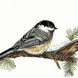 The Chickadee