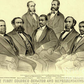 The First African American Senator and Representatives by American School
