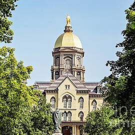 The Golden Dome by Scott Pellegrin