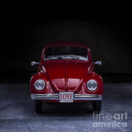 The Love Bug Square by Edward Fielding