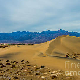 The Mesquite Flat Dunes by Stephen Whalen