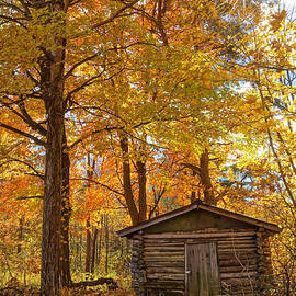 The Old Log Shed by Kathi Mirto