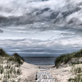 The Path to the Beach by Jouko Lehto