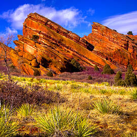 The Red Rock Park VI by David Patterson