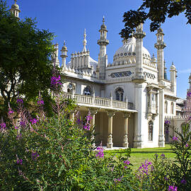 The Royal Pavillion Brighton by Venetia Featherstone-Witty