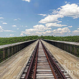 The Skywalk by Jim Lepard