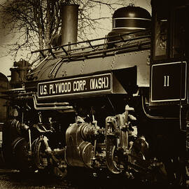 The Steam Locomotive by David Patterson