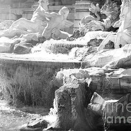 The Trevi fountain detail in Rome by Stefano Senise