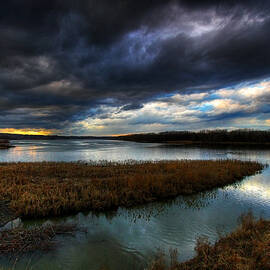 The Way of the River by Neil Shapiro