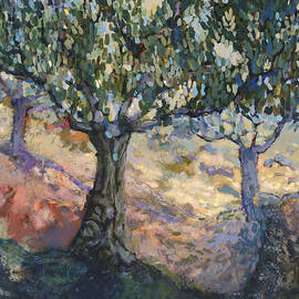 Through Ancient Olives by Jen Norton