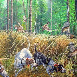 Thunder In The Pines- Bobwhite quail hunting