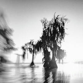 Timeless by Ghostwinds Photography