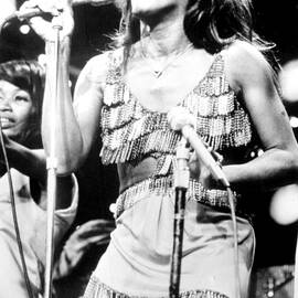 Tina Turner, During A Performance by Everett