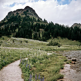 Tipsoo Lake Trails by Robert J Caputo