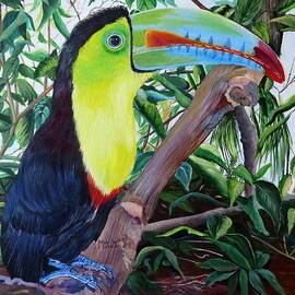 Toucan Portrait by Marilyn McNish