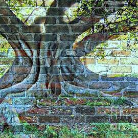 Tree On A Wall by Leanne Seymour