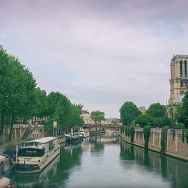 Trees along the Seine by Georgia Clare