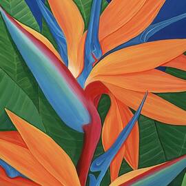 Tropical Paradise by Lisa Bentley