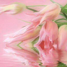 Tulip Wish by Elaine Manley