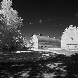 Twin Barns by Bob Cournoyer