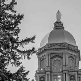 University of Notre Dame Dome Black and White  by John McGraw