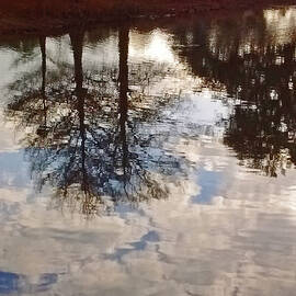 Upside Down - Reflections