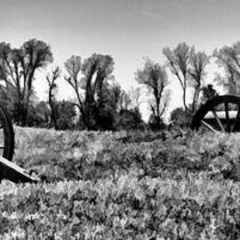 Vicksburg National Military Park Civil War  by Chuck Kuhn